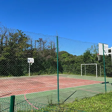 L Olivier De La Palmeraie Grimaud